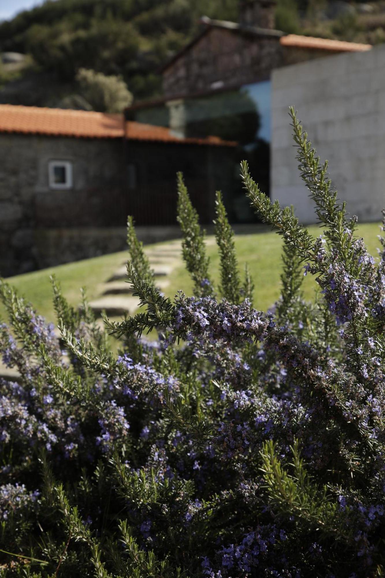 Geres - Leiras Do Tempo - Cottages Brufe Εξωτερικό φωτογραφία
